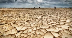 national-delay-in-monsoon-mplive