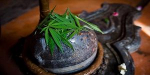 sawan-lord-shiva-mplive