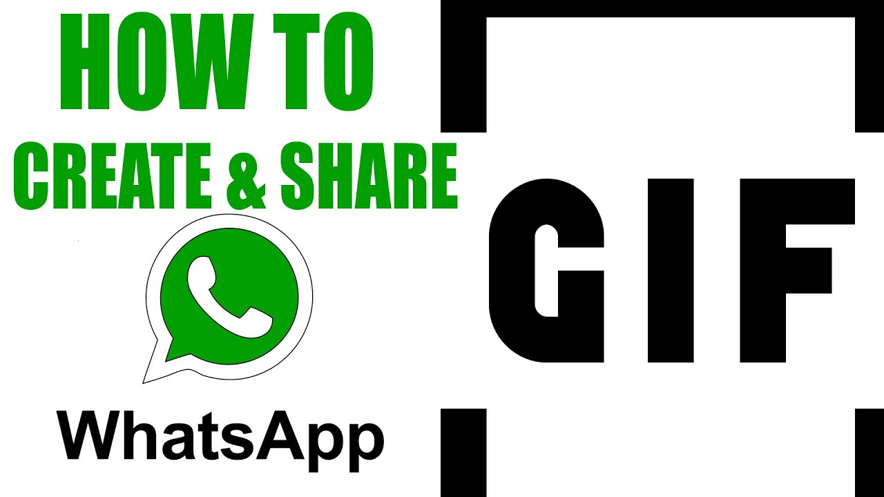 create-your-custom-gif-on-whatsapp-mplive