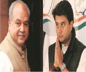 narendra-singh-tomar-statement-on-jyotiraditya-scindia-mplive