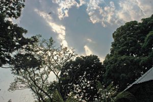 weather-forecast-possibility-of-rain-in-mp-mplive