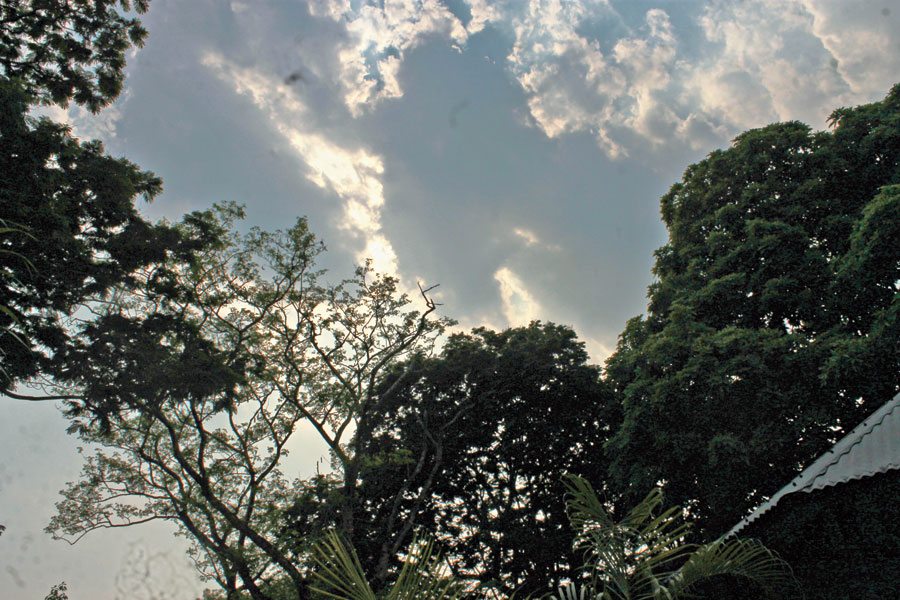 weather-forecast-possibility-of-rain-in-mp-mplive