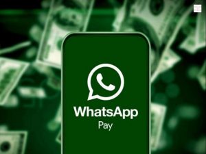 business-whatsapp-starts-payment-service-in-india-mplive
