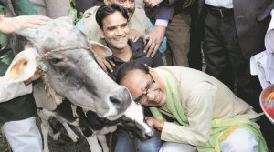 shivraj-singh-chauhan-government-to-form-cow-cabinet-mplive
