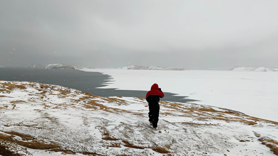 corona-virus-found-in-antarctica-mplive