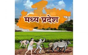 farmers-in-madhya-pradesh-mplive