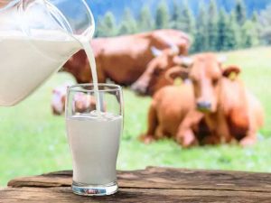 village-gets-free-milk-as-selling-and-buying-not-allowed