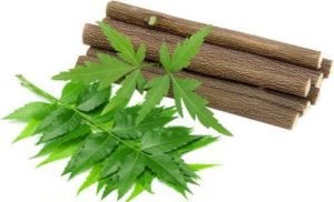 neem-chew-sticks-sold-in-foreign-countries