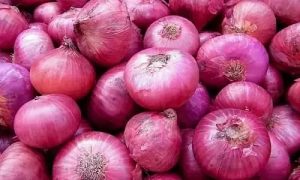 bhopal-big-scam-onion