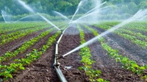 madhya-pradesh-government-has-approved-projects-for-irrigation