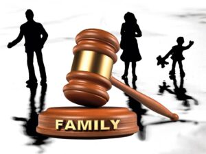 Family-Law-Judgements
