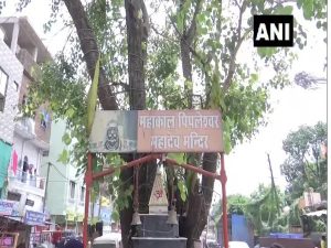 MP_Shivling_vandalised