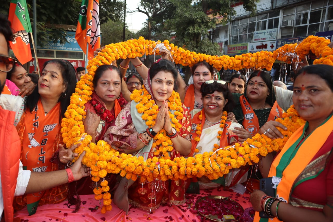 krishna-gaur